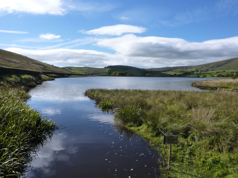 Pendle Black Moss